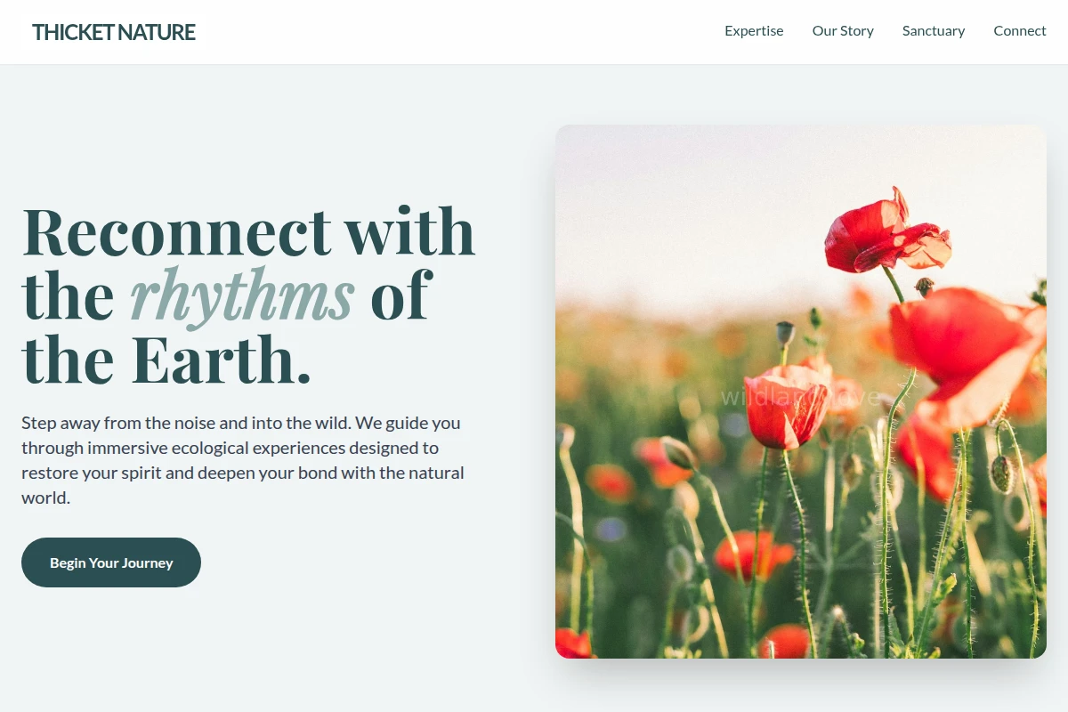 Thicket Nature
